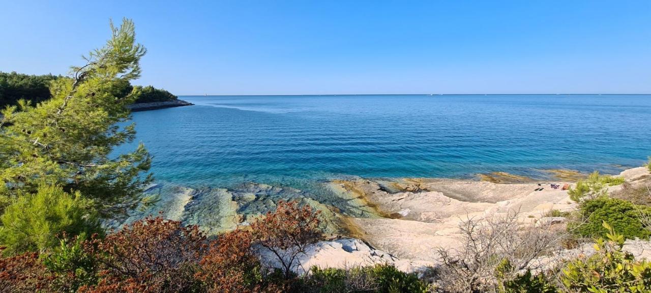 Villa Providenca Volme Hrvatska Banjole Buitenkant foto